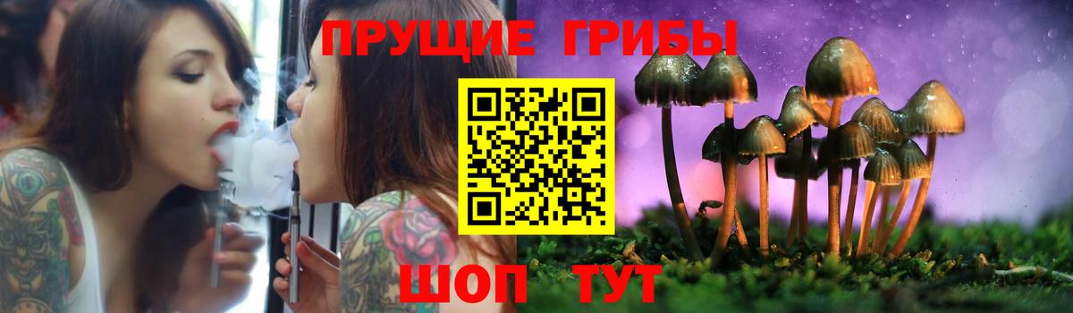 Георгиевск  Псилоцибиновые грибы Cubensis  Вход с VPN 